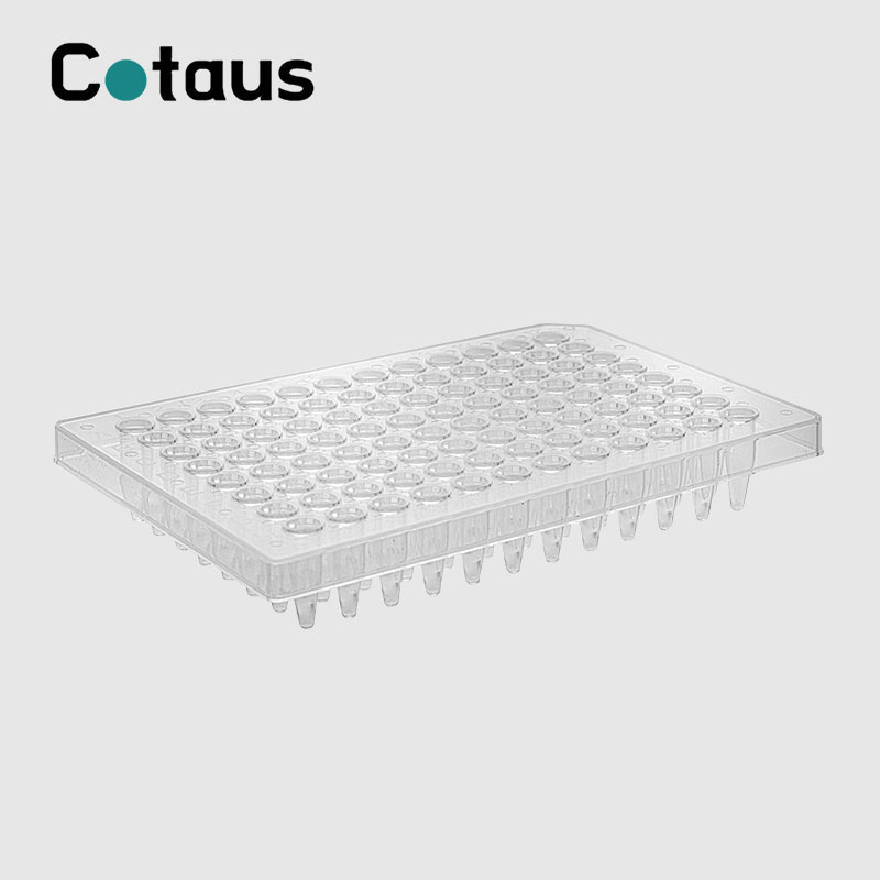 តើអ្វីទៅជាបន្ទះ PCR