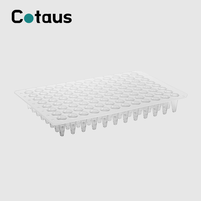 96 Well 0.1ml Transparent No Skirt Plate PCR